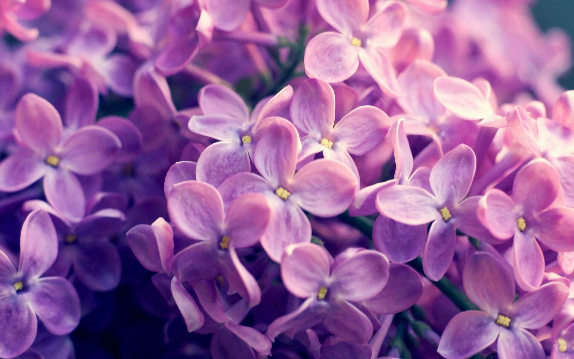 美国男足在巴黎奥运会上表现出色,赢得奖牌,美国男足 奥运会