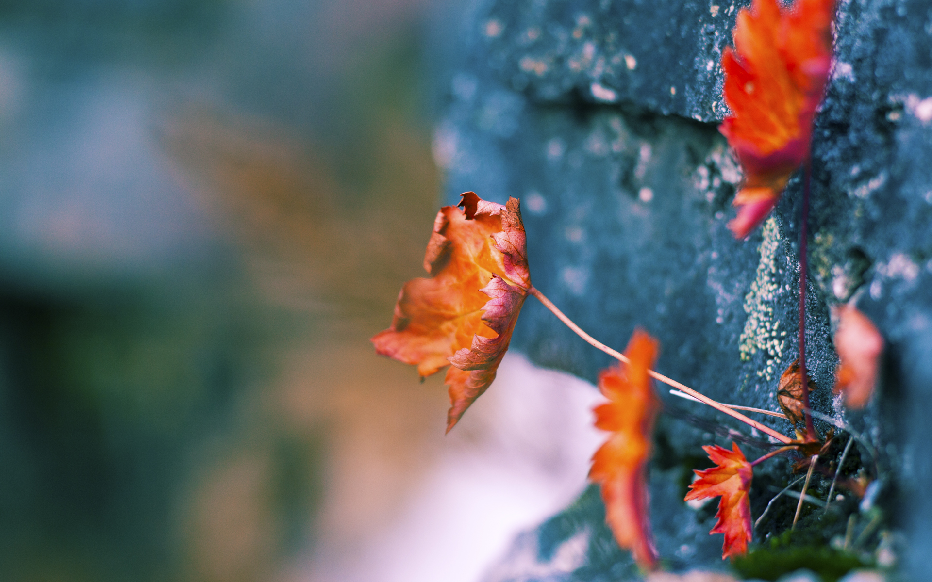 足球规则普及教育在基层缺席,足球规则理论课