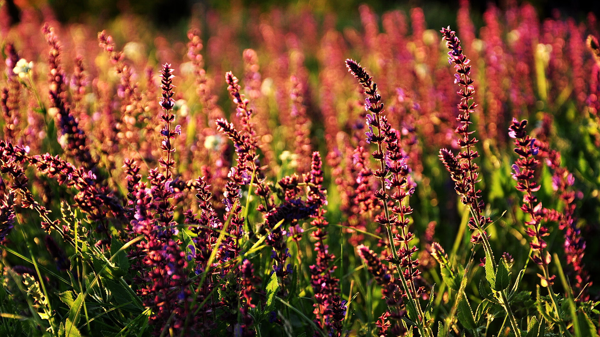 乐鱼注册-国足宣布集训名单老将回归，国足公布集训名单