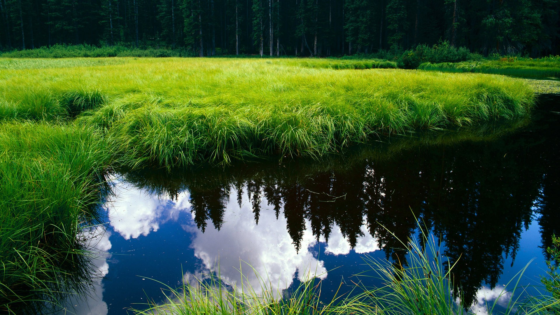 西甲高手对决：突破、助攻、精彩无极限！，西甲如何决出冠军