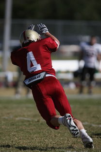 乐鱼体育官方入口-足球青训进入社区模式拓展非专业球员参与渠道，足球俱乐部青训什么条件