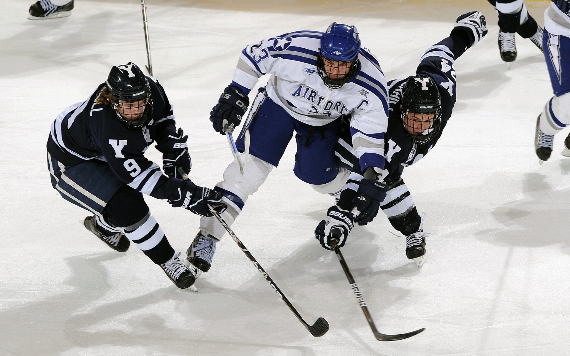 东京残奥会回顾展开启,展示中国残疾人体育成就,东京残疾人奥运会有38个大项目