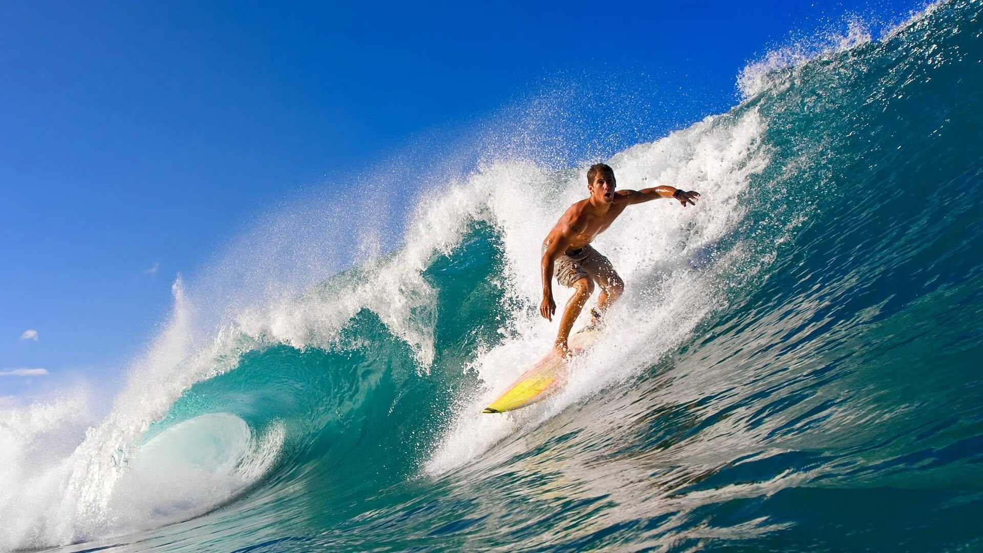 海底潜水摄影争霸，展现深海美丽风光，海底潜水照片